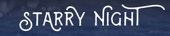 Starry Night 2015 Webpage Banner Image
